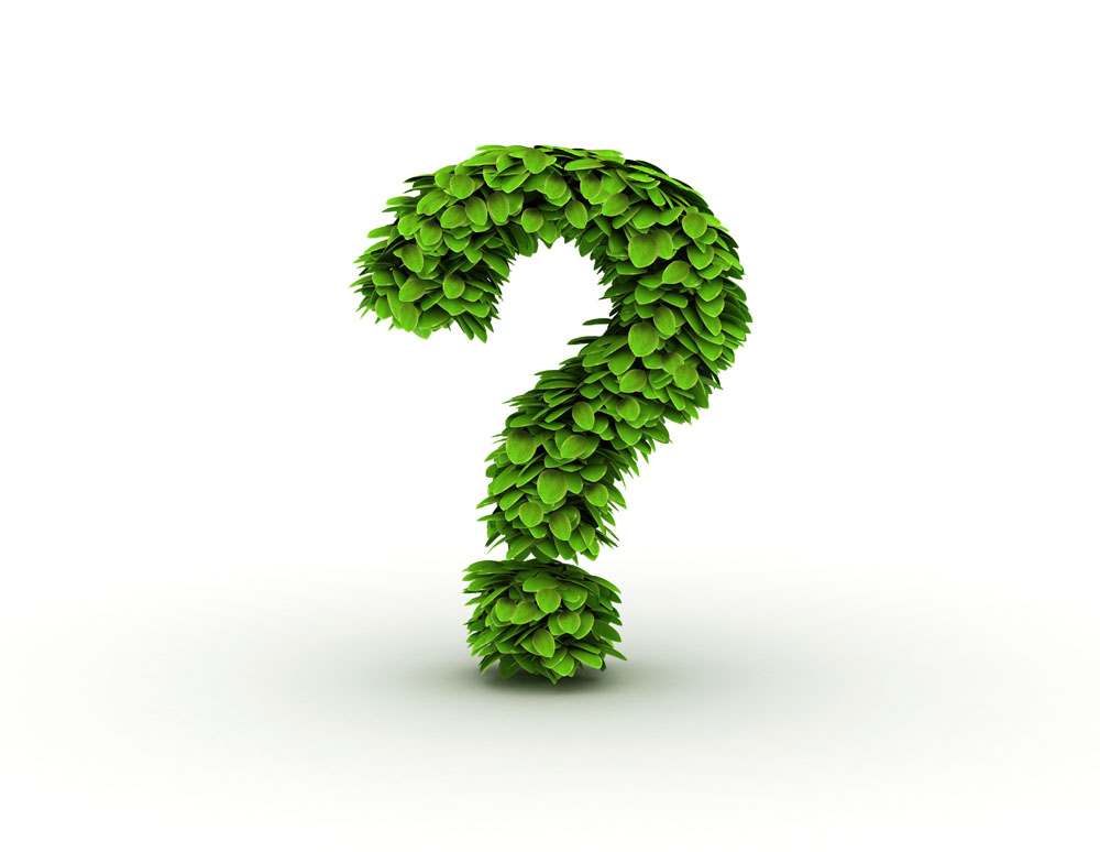 “臨沂之爭”下企業到底欠缺什么？